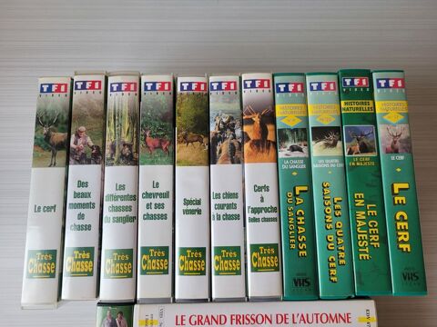 Lot de cassettes de chasse VHS ( 17 ) 13 Bar-sur-Seine (10)