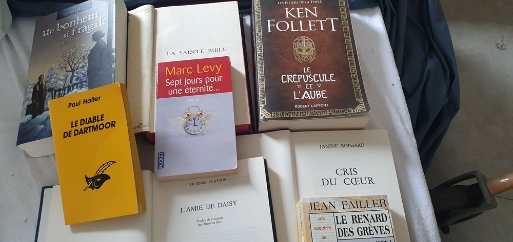Je suis Audrey Invalide mes livres adultes 1= 4 e Livres et BD