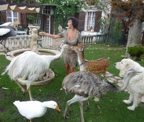 b�n�vole jardinier bricolage 0 Toulouse (31)