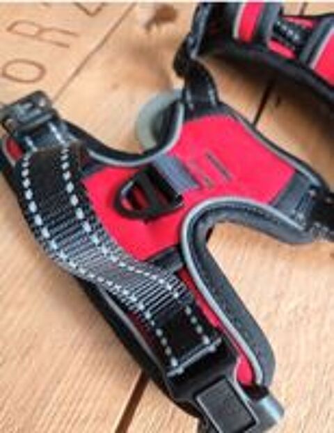   Harnais chien taille S NEUF 