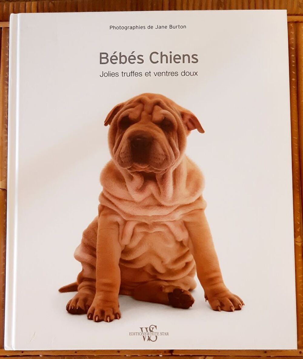 Livre sur les b&eacute;b&eacute;s chiens Livres et BD