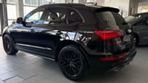 SQ5 2026 occasion 20260 Calvi