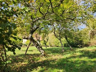  Maison  vendre 1 pice 64 m