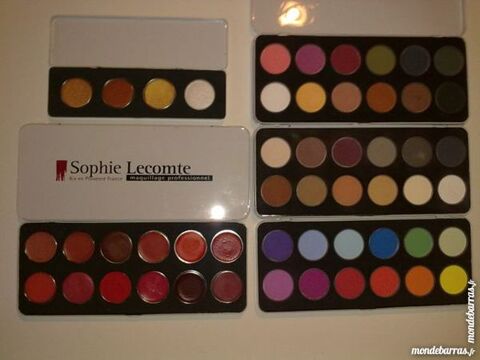 Maquillage professionnel SOPHIE LECOMTE pigments 10 Ved�ne (84)