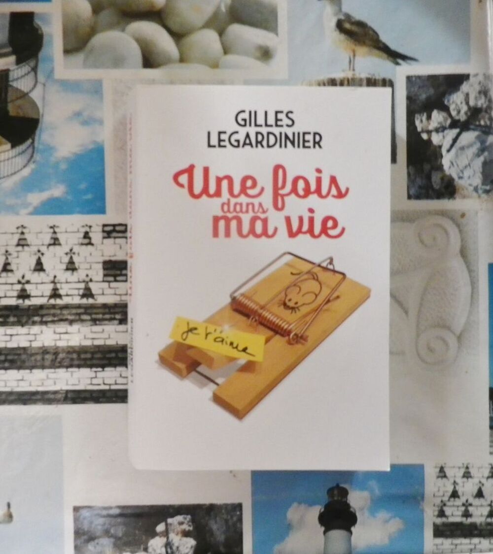 UNE FOIS DANS MA VIE de Gilles LEGARDINIER Livres et BD