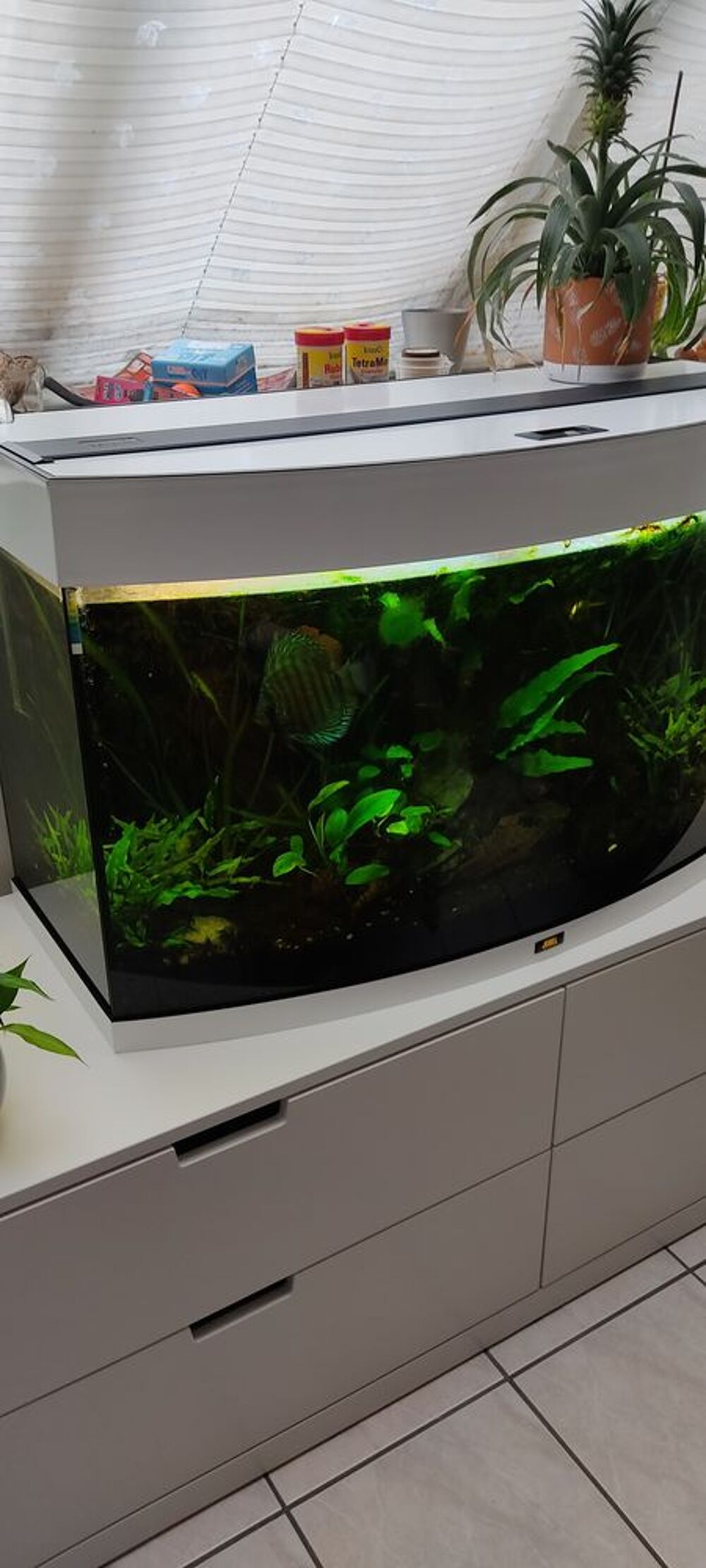   Aquarium 180 litres complet avec filtre extrieur 
