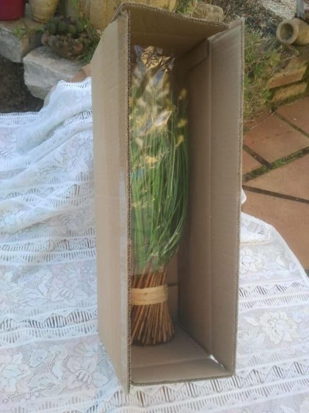 Bouquet de Gramin&eacute;es Artificielles d'Ornement - Neuf Décoration