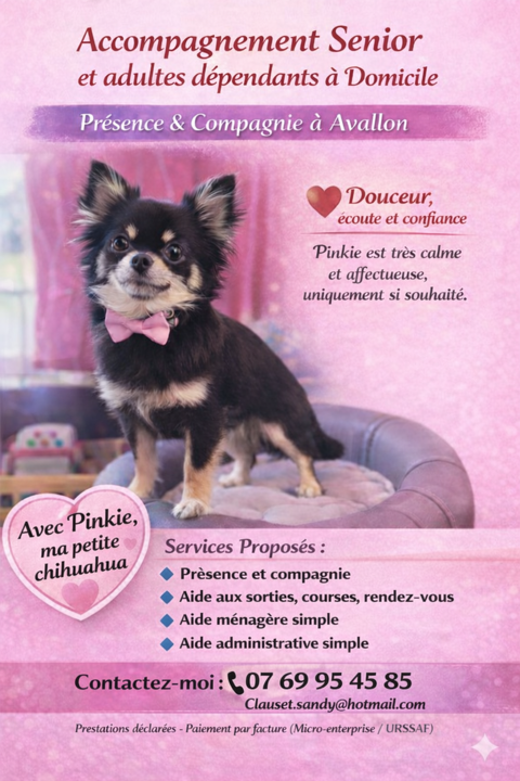 Accompagnement &agrave; domicile ? Seniors & adultes d&eacute;pendants 0 89200 Avallon