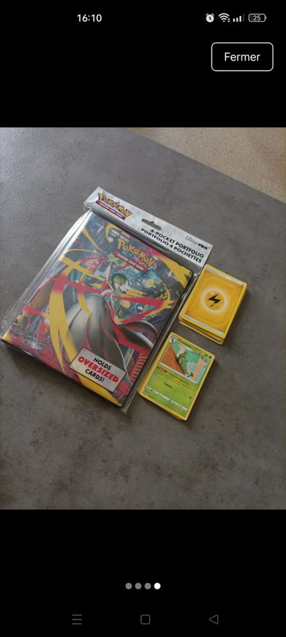 Classeur Pok&eacute;mon 