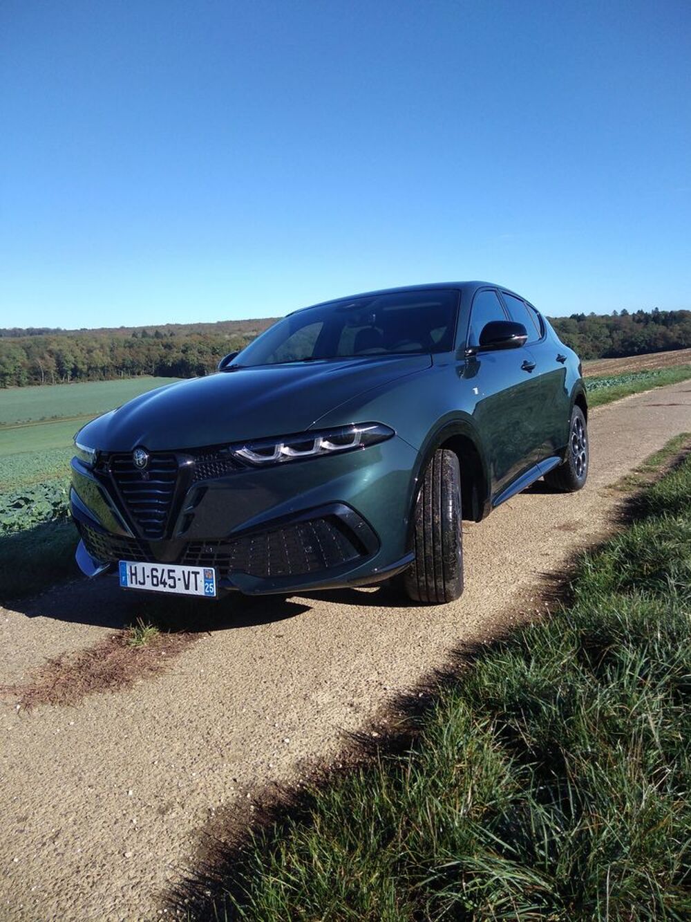 Tonale ALFA ROMEO TONALE 1.5 HYBRIDA 175 TI 2026 occasion 25200 Montb&eacute;liard