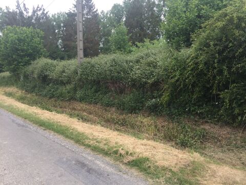 debroussaillage grands surfaces 0 83000 Toulon