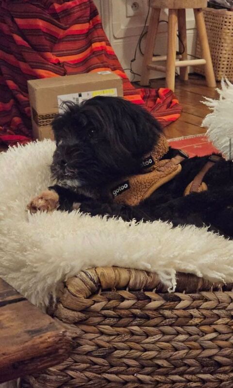 BLACkIE 0 75018 Paris