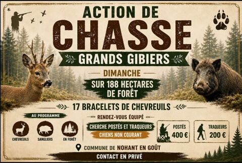 Action de chasse grands gibiers, département du Cher Nohant-en-Goût (18)
