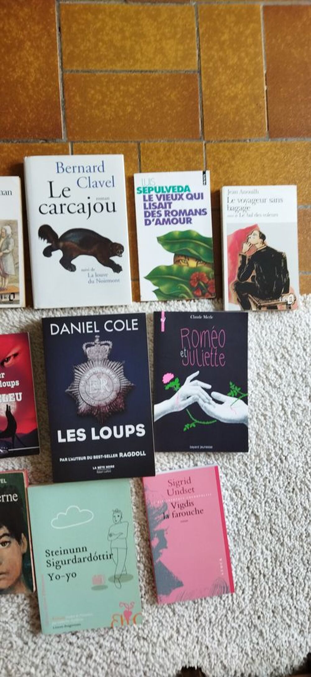 LIVRES DIVERS Livres et BD
