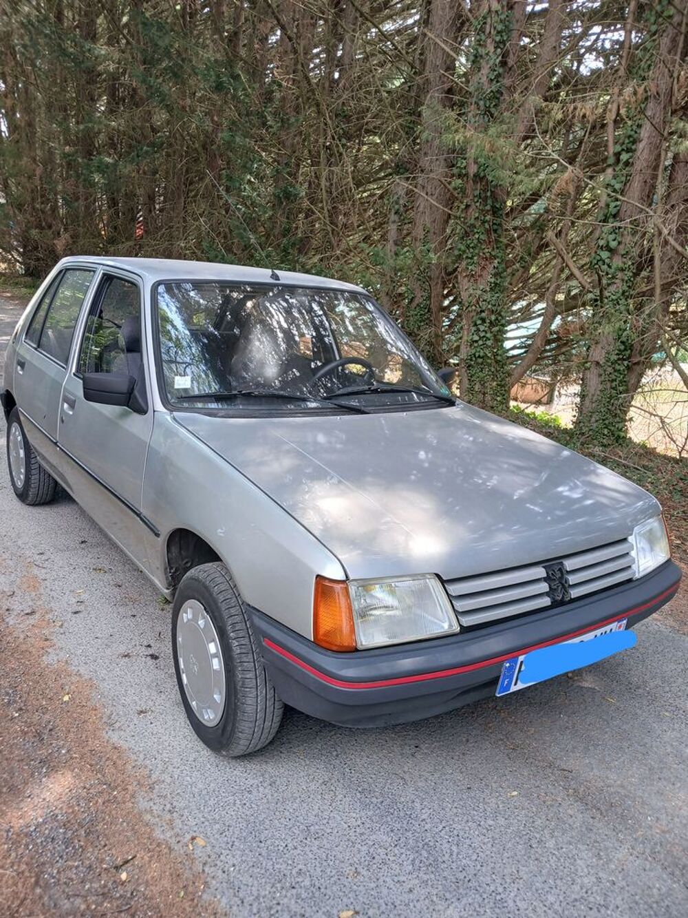 205 1.4 SR 1988 occasion 77120 Chailly-en-Brie