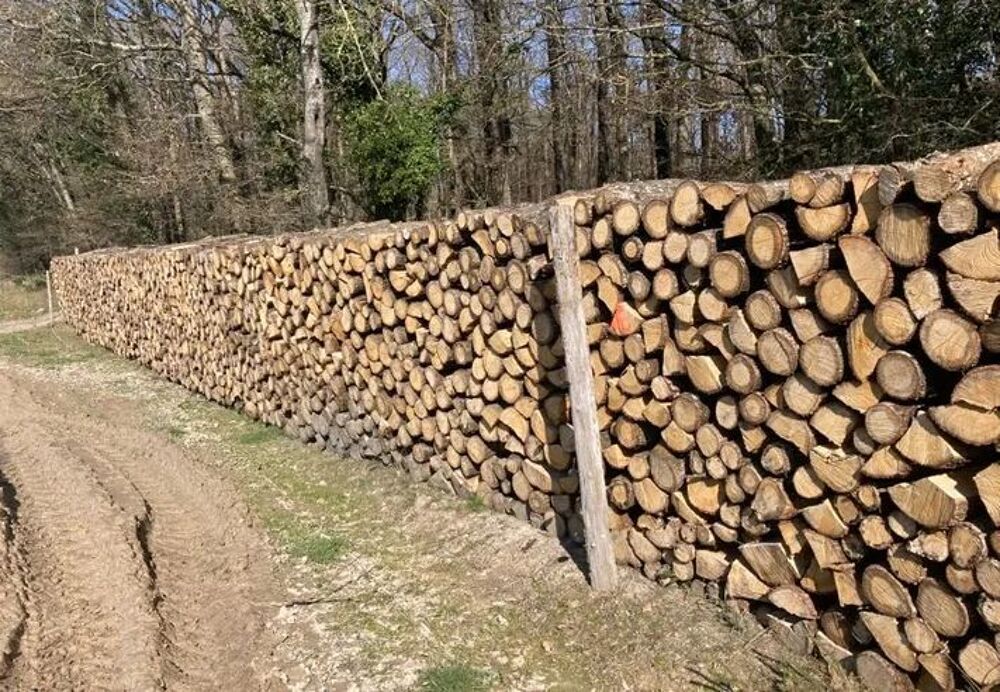 Bois de chauffage livraison offerte Jardin