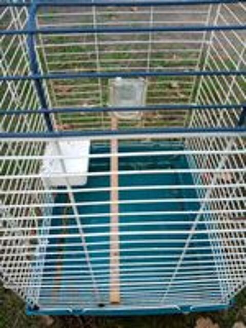   cage oiseaux hauteur 55 cm 