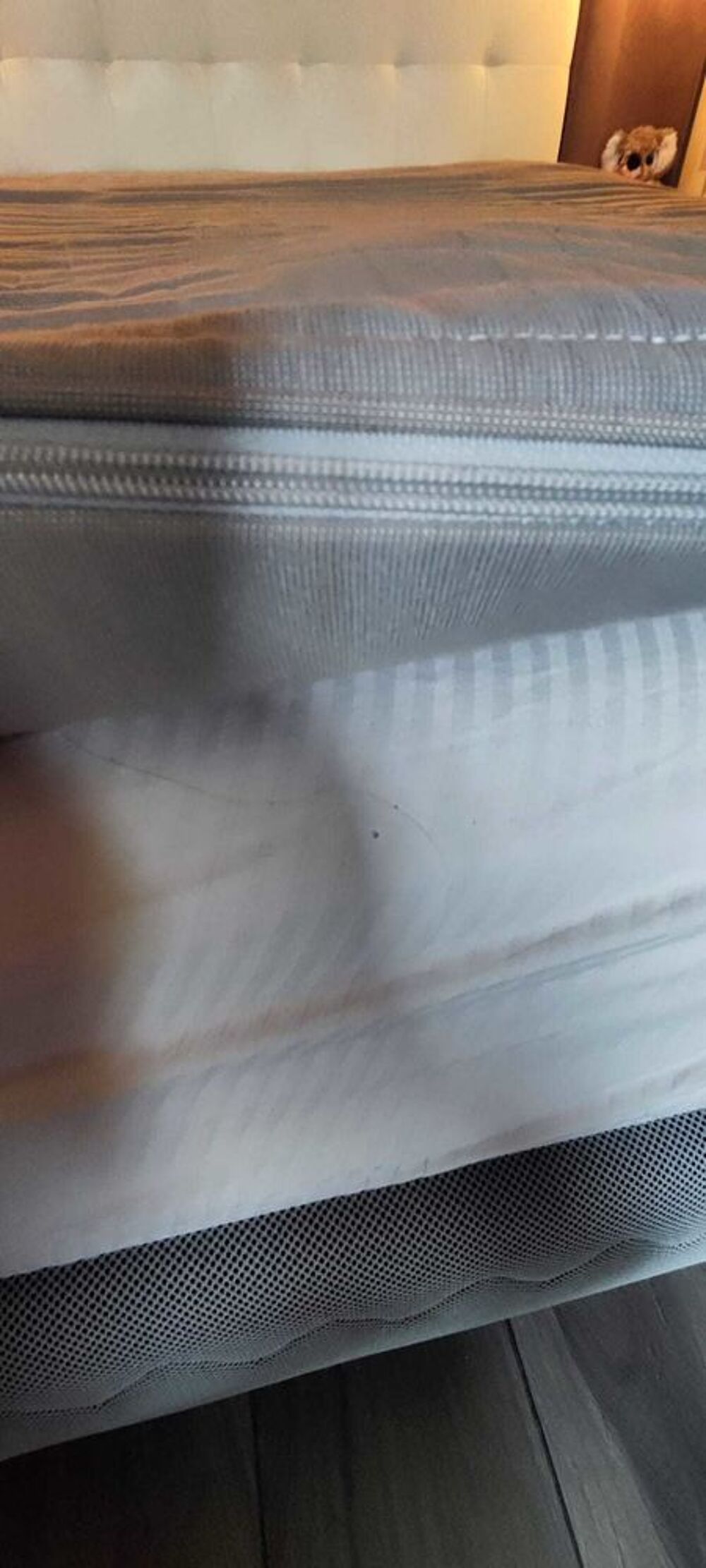 Surmatelas Meubles