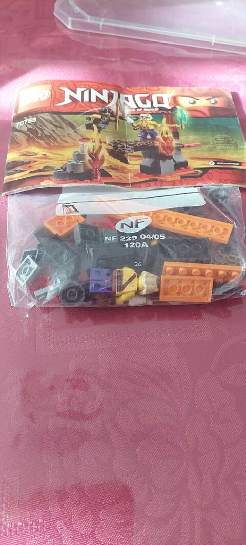 lego ninjago 25 Breuillet (91)