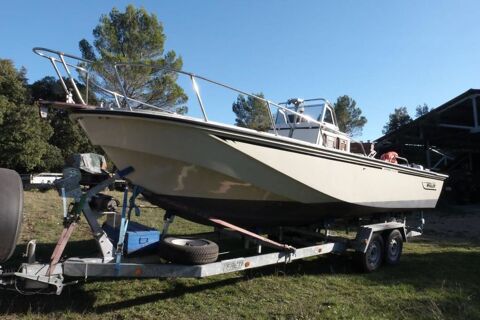 Bateaux &agrave; moteur Bateau fluvial 1996 occasion Draguignan 83300