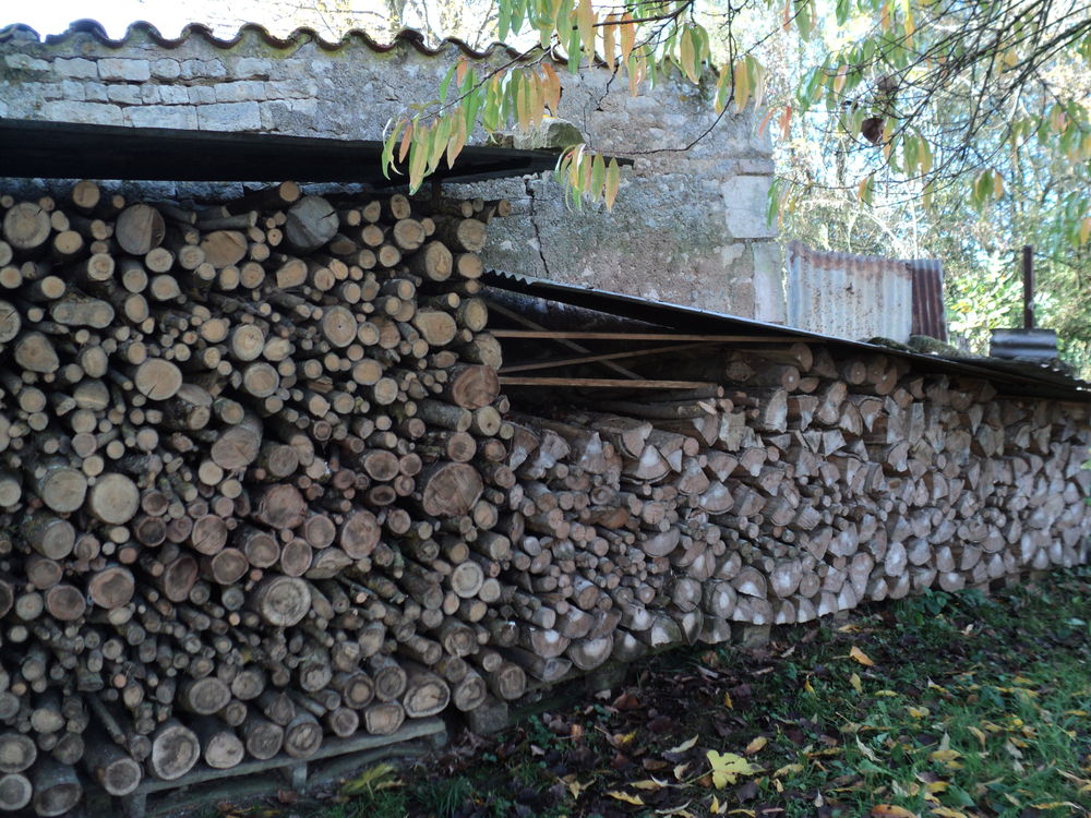 bois de chauffage . Jardin