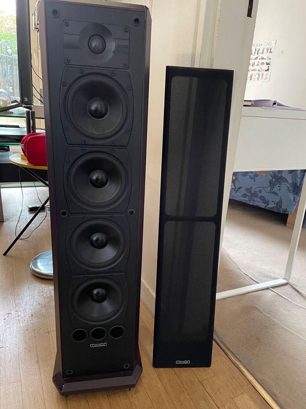 Enceintes Mission 753R Acajou Audio et hifi