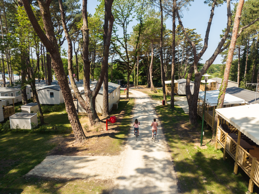  2023 occasion 44420 Piriac-sur-Mer