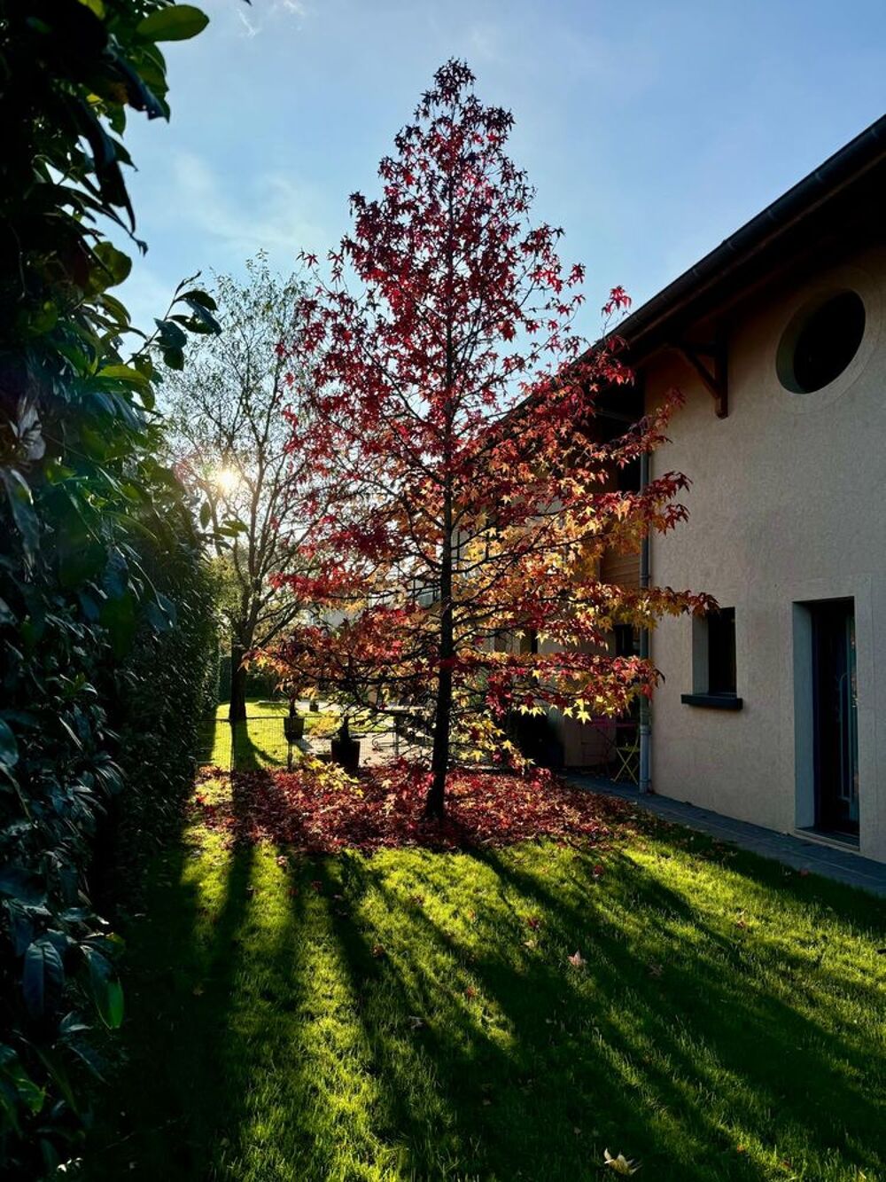  vendre  Villa Prvessin-Mons (01280)