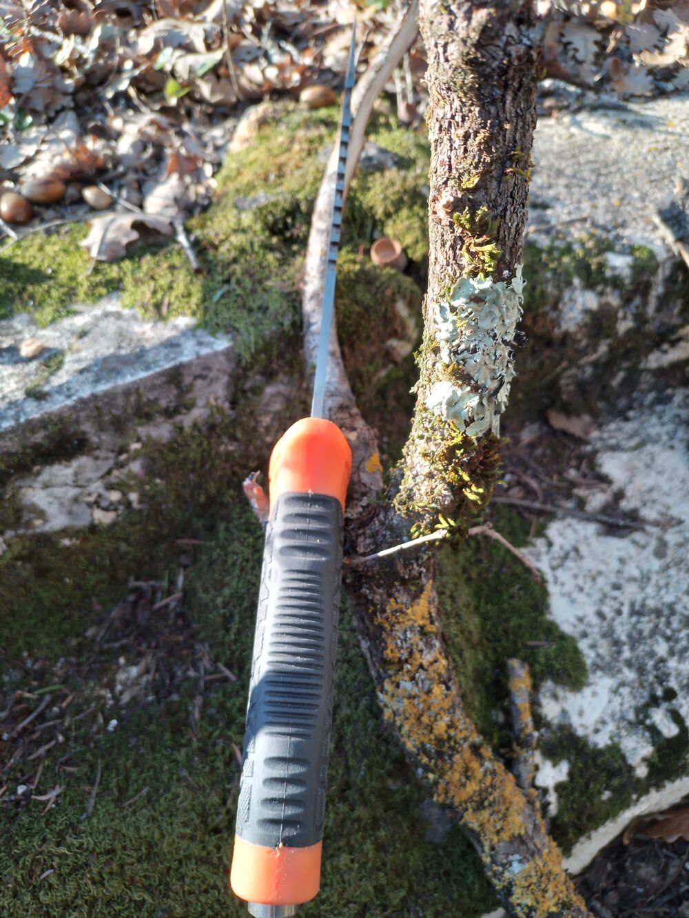 Couteau de chasse xxl 
