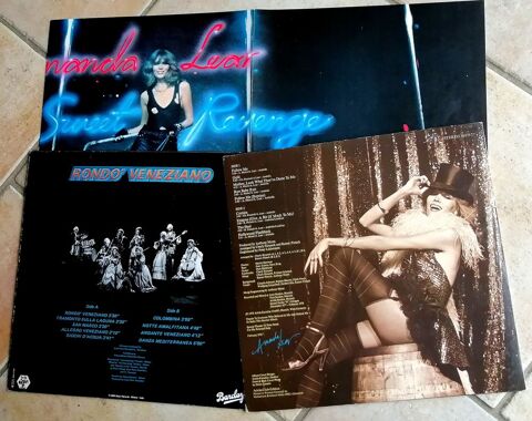 Lot Disques vinyles 33T Vari�t� Internationale 1970/90 14 Buxerolles (86)