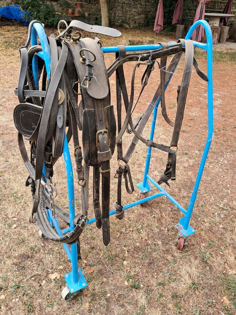 Carriole avec harnais Bricolage