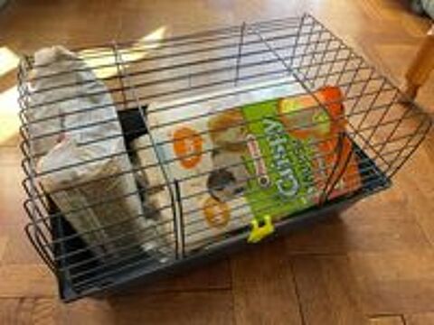   Cage pour petit animal 