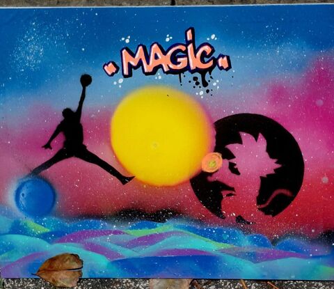 tableau spray paint art pièce unique 115 Saint-Pierre (97)
