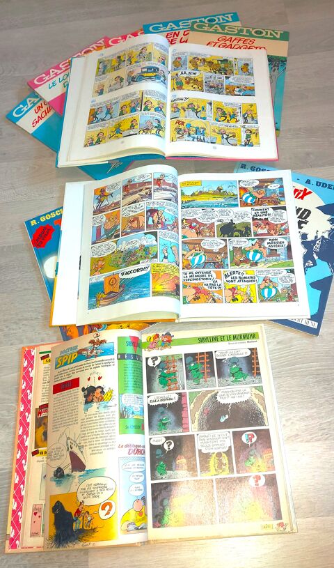 Lot Livres enfants Gaston la Gaffe et Asterix 9 Grasse (06)