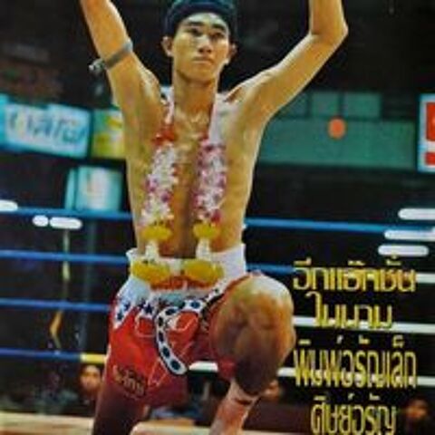   Sance de boxe thai    domicile et extrieur 