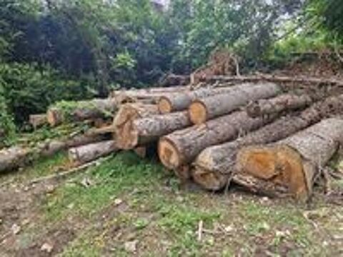   bois de chauffage 