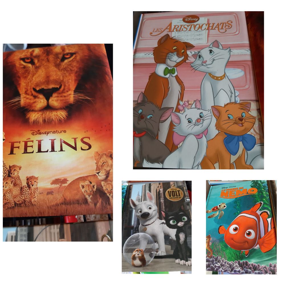 livres Disney Livres et BD