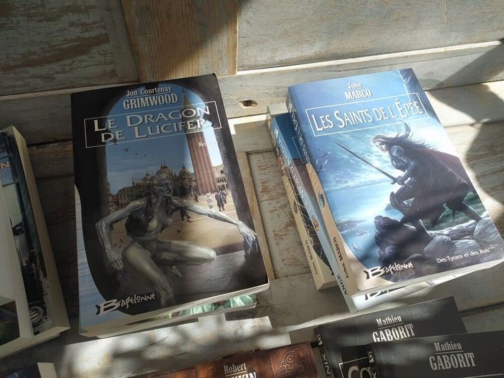 Lot Livres Romans Fantastiques Collection Bragelonne Livres et BD