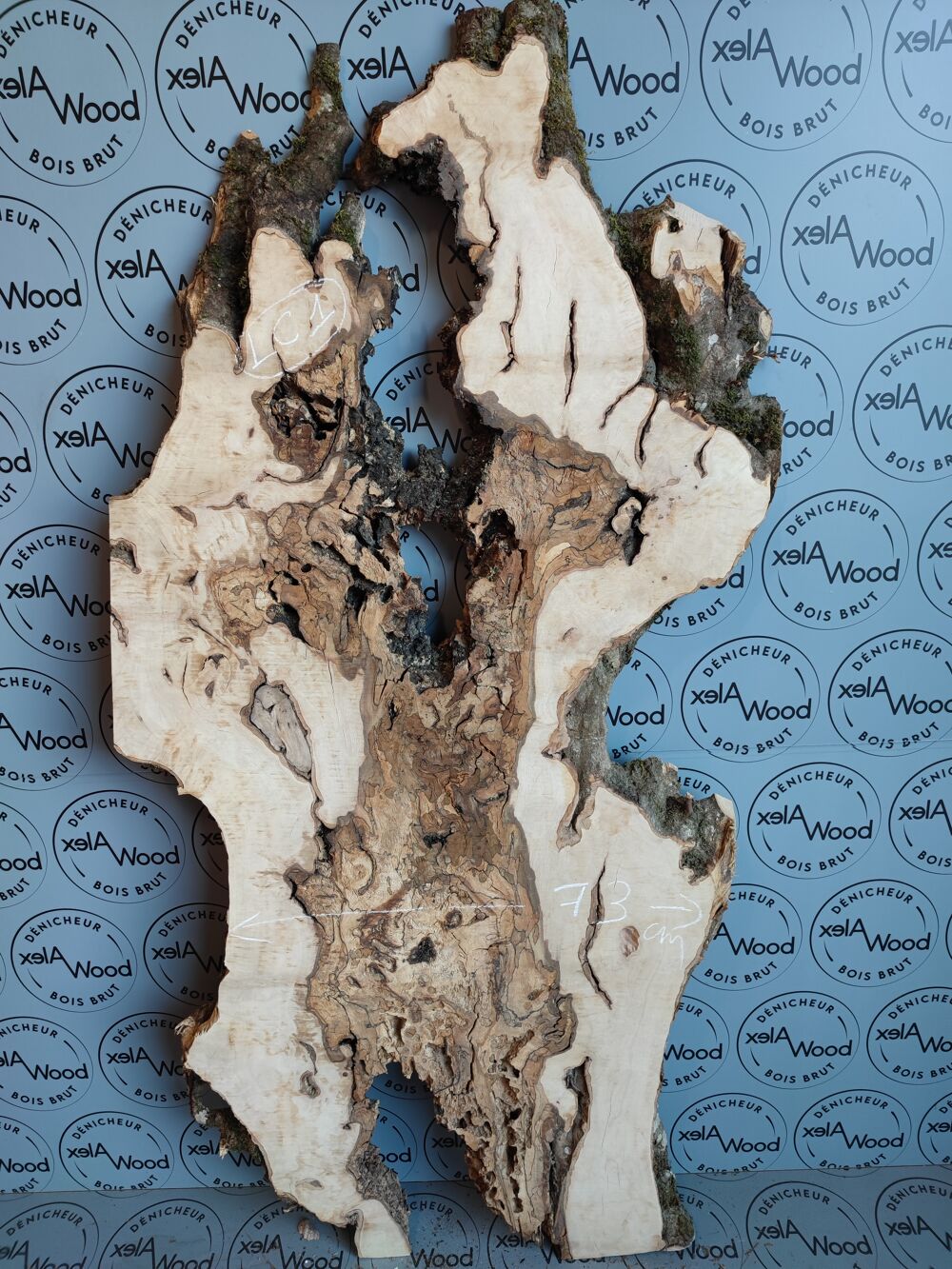 Plateau planche de loupe de charme bois brut Bricolage
