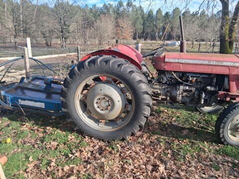 MASSEY FERGUSSON Utilitaire 1966 occasion Morcenx 40110