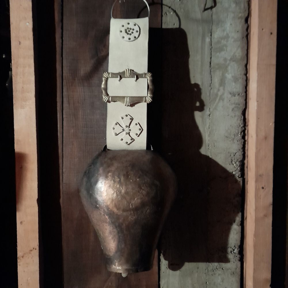 Sonnaille Redon &plusmn;38cm avec collier 