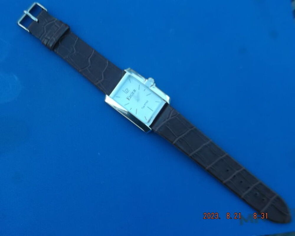 montre eiger typ p753 bracelet maron fond blanc neuf Bijoux et montres