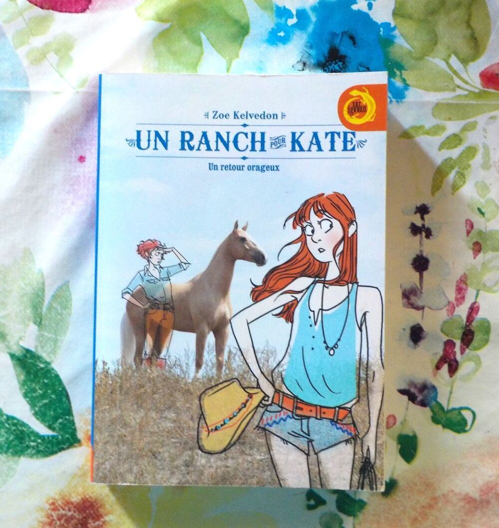 UN RANCH POUR KATE - UN RETOUR ORAGEUX de Zoe KELVEDON Livres et BD