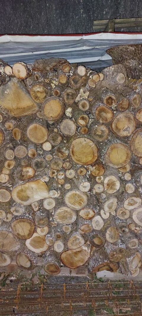 Bois de chauffage 60 Burlats (81)