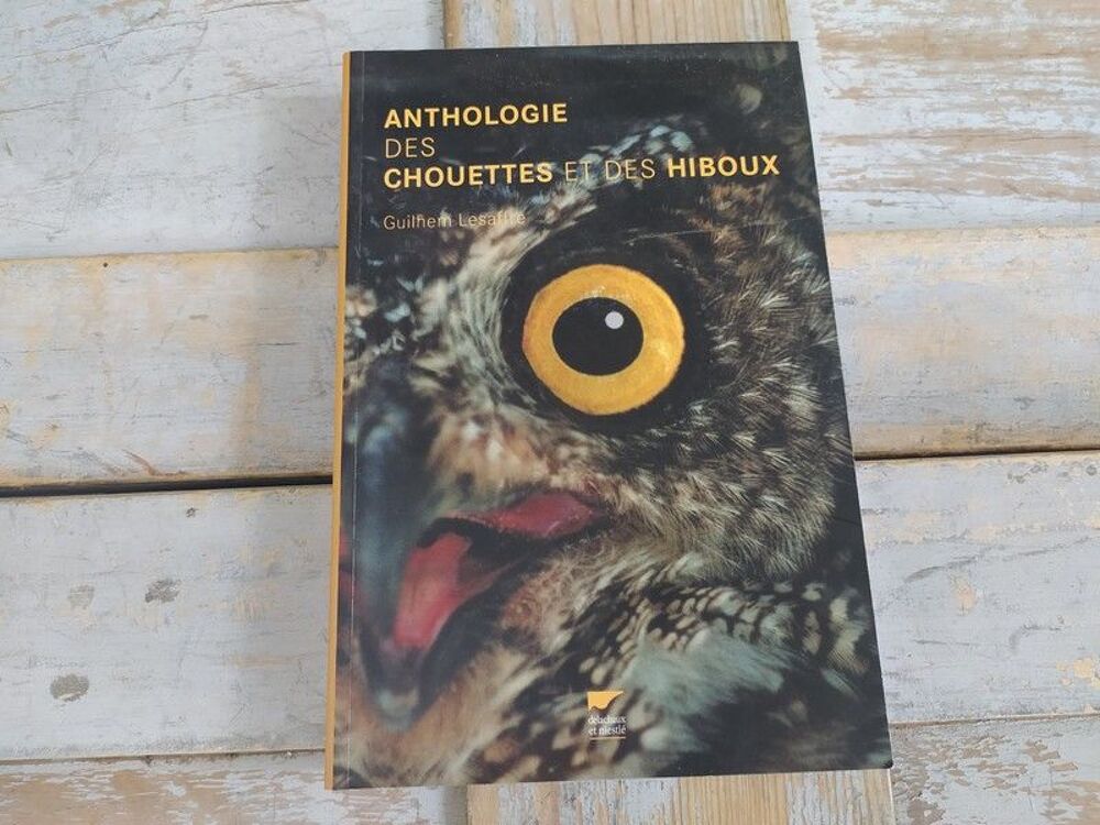Livre Delachaux Niestl&eacute; Anthologie des Chouettes et Hiboux Livres et BD