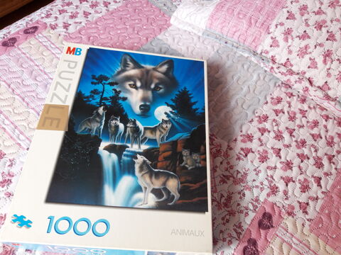 Puzzle 1000 pices 5 Launaguet (31)