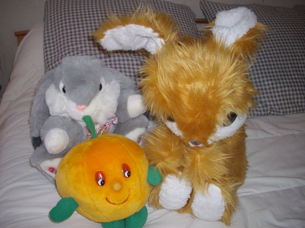 peluches diverses Jeux / jouets