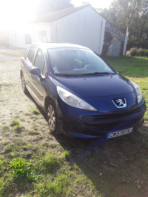 Peugeot 207 SW 1.6 HDi 16V 90ch BLUE LION Premium 2007 occasion Le Girouard 85150