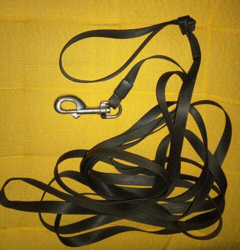 Laisse pour chat 4.40 m 9 95250 Beauchamp