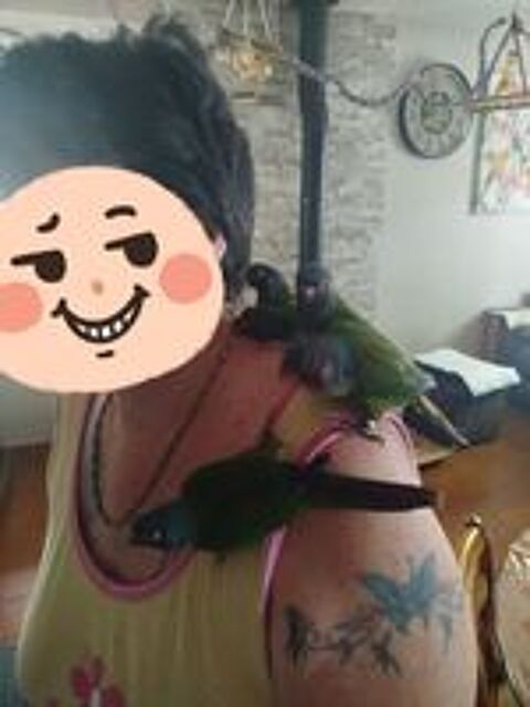   Conure Emma  